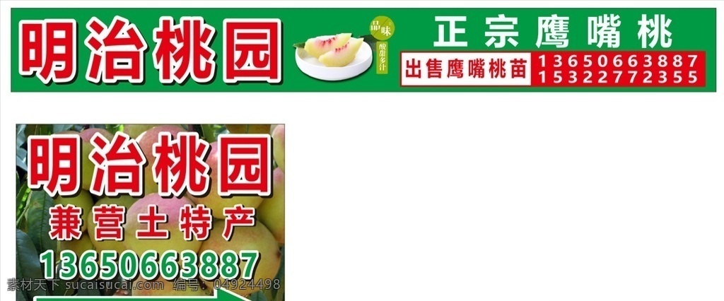 鹰嘴桃海报 桃子 桃园 水果 绿色 海报 户外宣传