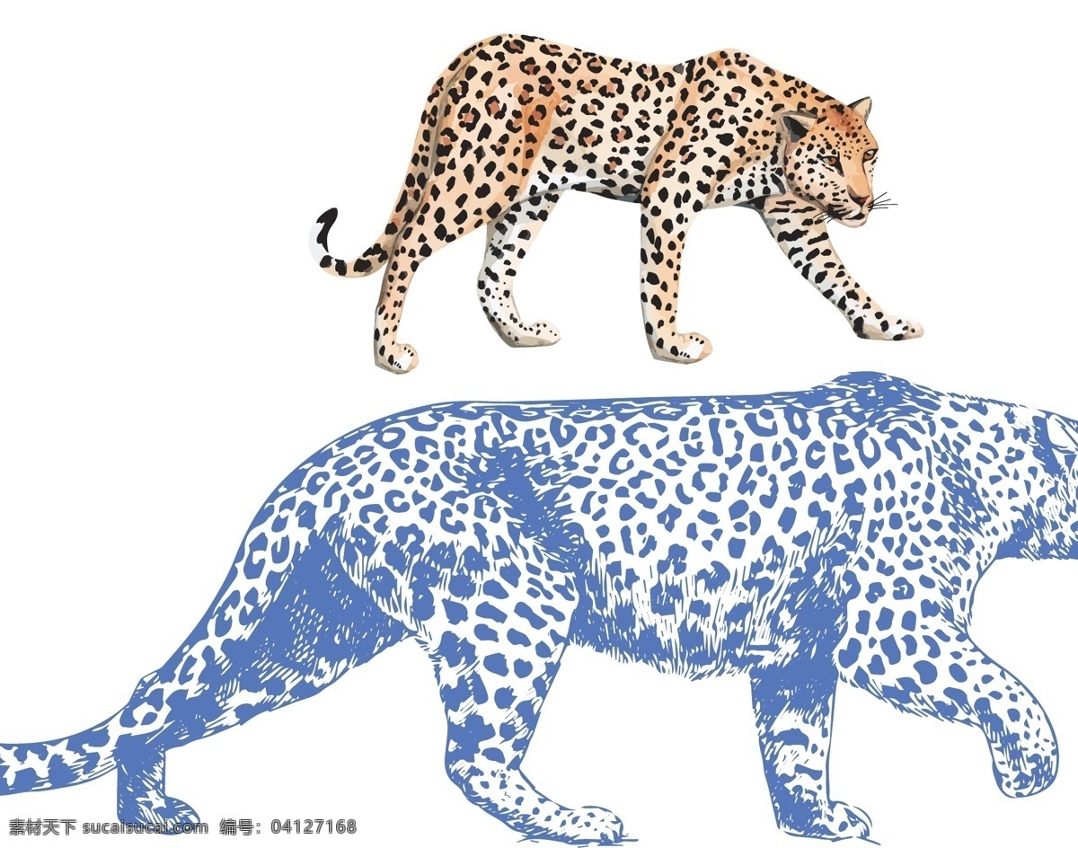 豹子图片 动物 豹子 凶猛 非洲 老虎 服装设计