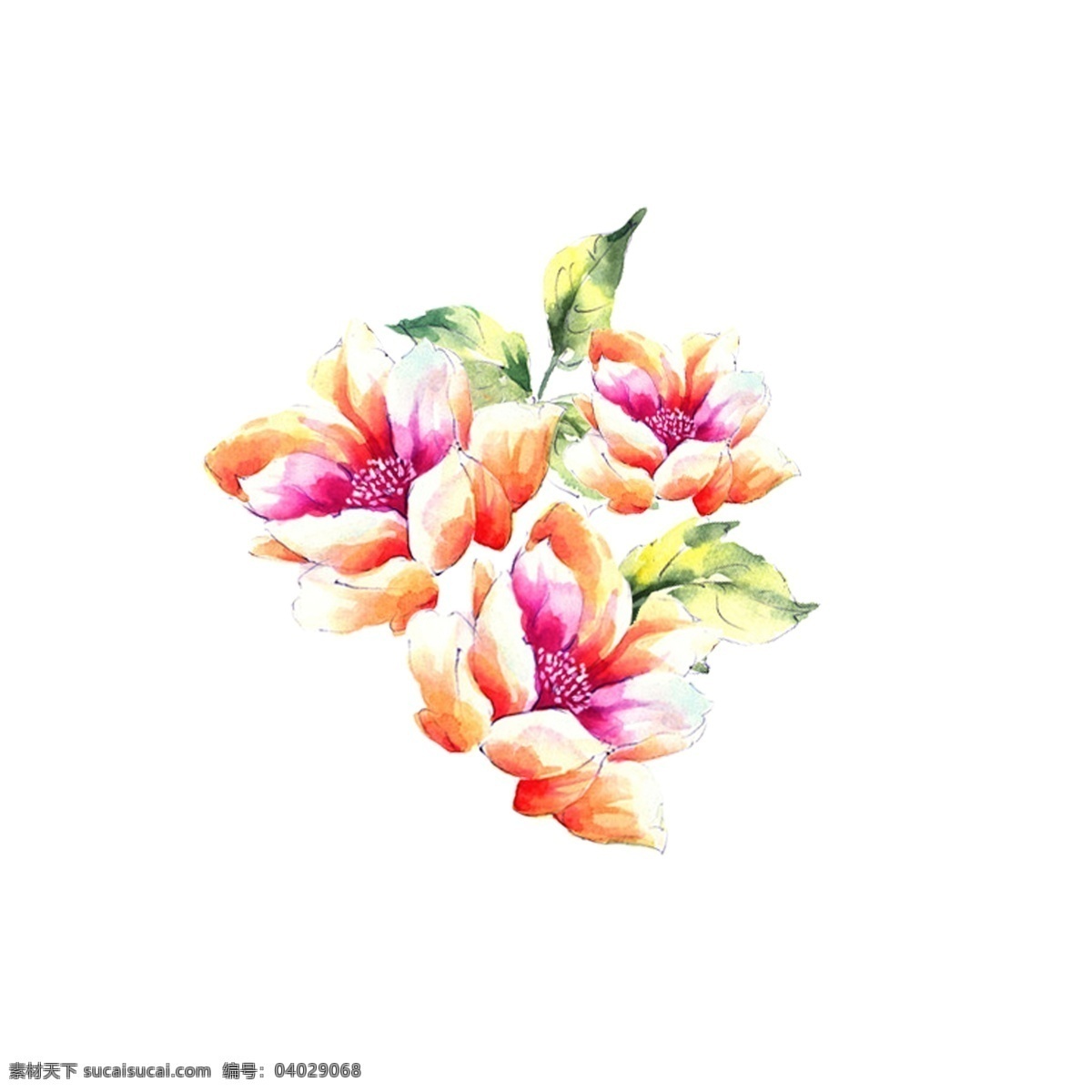 位图免费下载 服装图案 花朵 位图 植物 面料图库 服装设计 图案花型