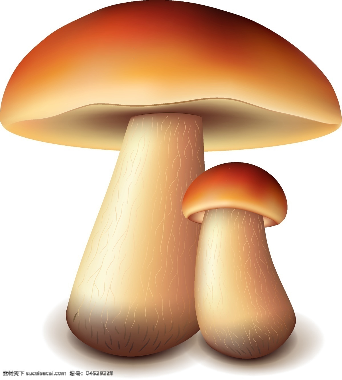 矢量蘑菇元素 矢量 食物 蔬菜 蘑菇 ai元素 免扣元素