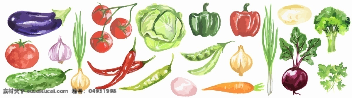 手绘蔬菜插画 植物 手绘 水彩绘 蔬菜 茄子 苦瓜 辣椒 插画