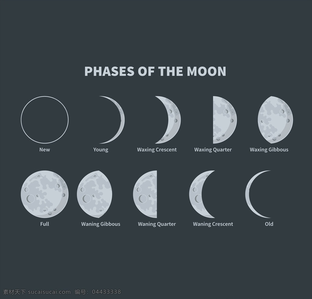 月食过程插图 月食 月食过程 观测 插画 插图 月亮 动漫动画