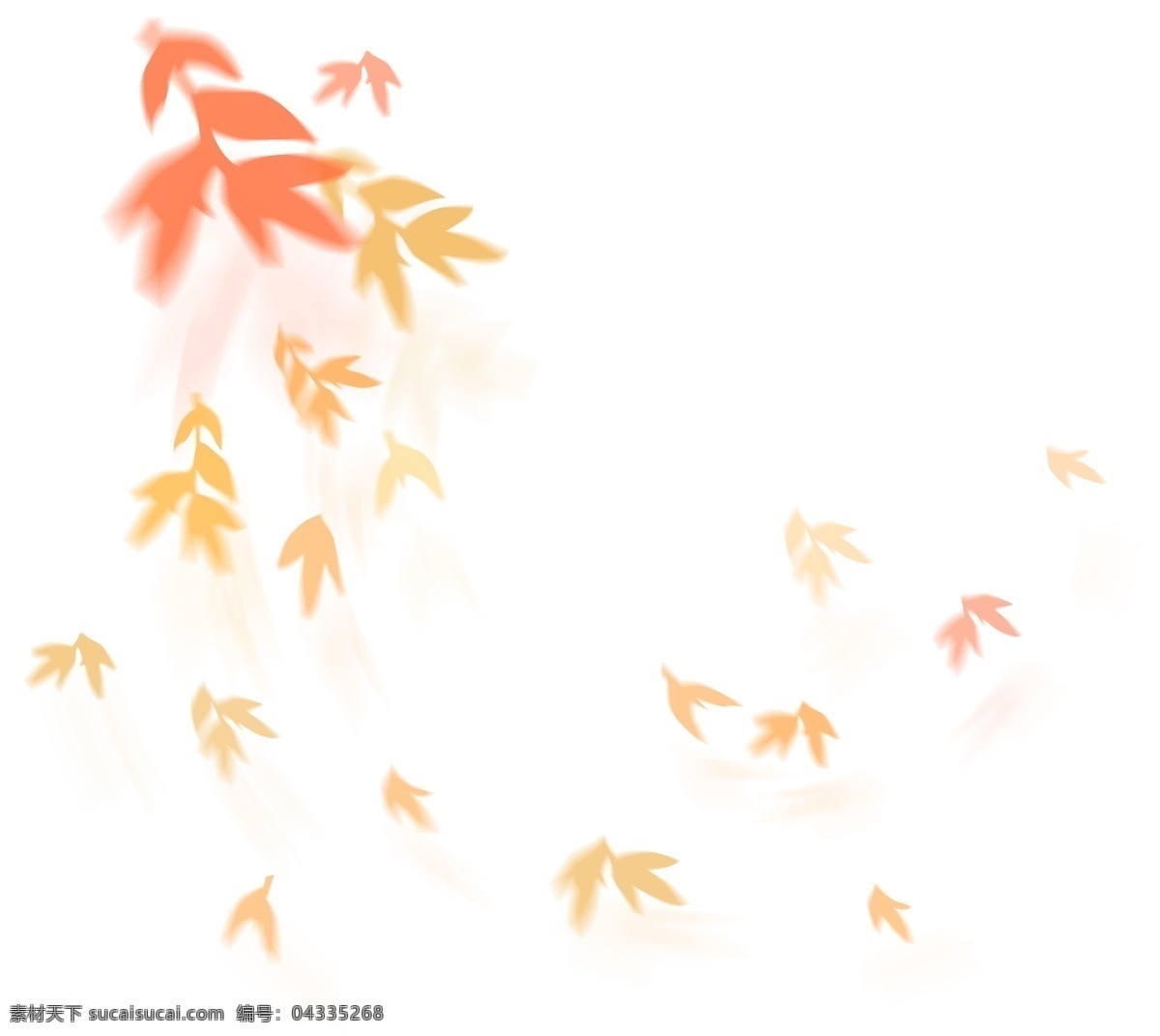 漂浮 元素 橘 色 树叶 枫叶 商用 矢量 矢量素材 唯美 秋天 漂浮元素 橘色 飘落 风 意境 红叶 深秋 凋零 动态 投影