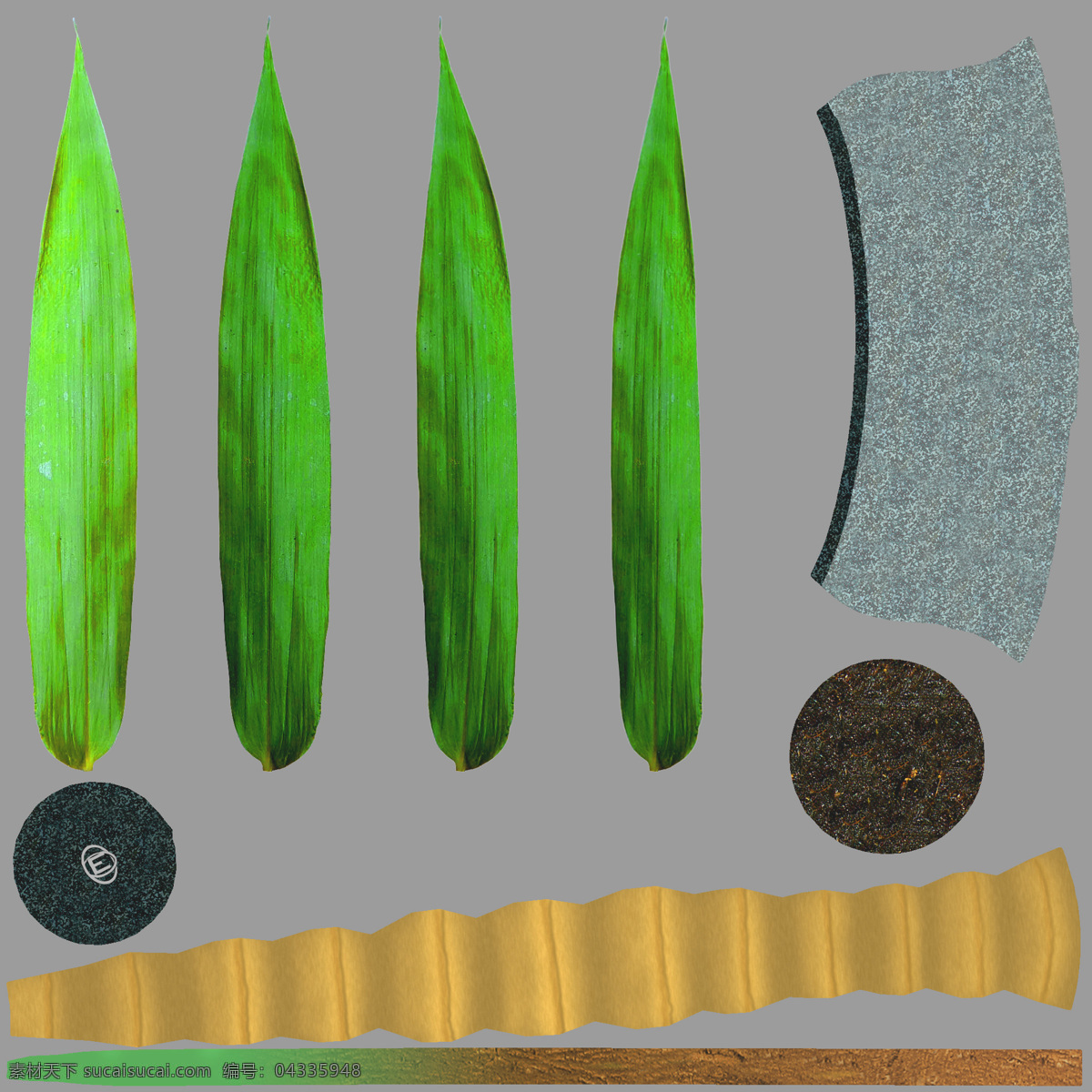 绿色 尖 叶子 植物 盆栽 3d 模型 室内 特别 尖叶子 模型素材