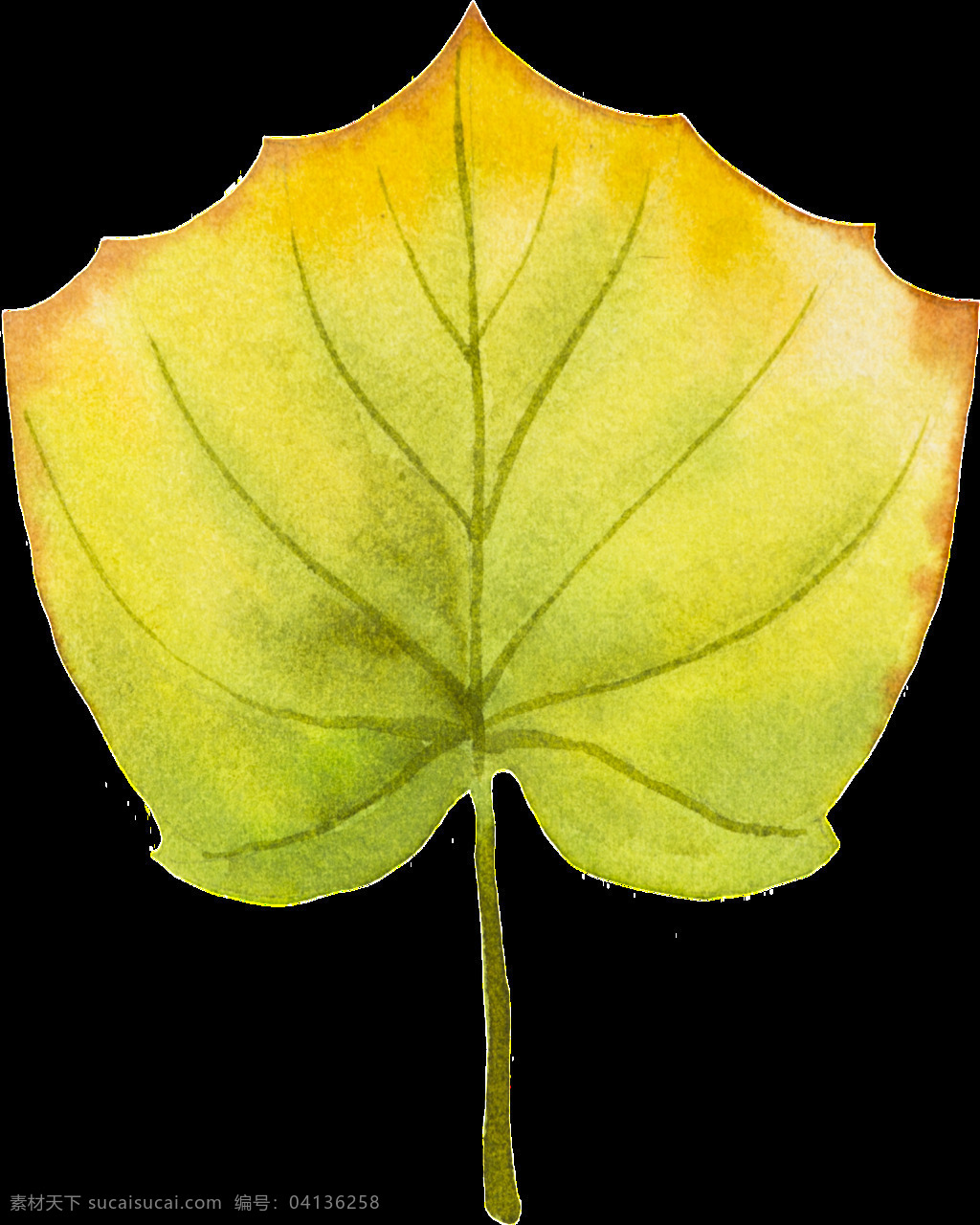 片 枯黄 树叶 矢量 黄色 绿色 落叶 平面素材 设计素材 矢量素材 叶子