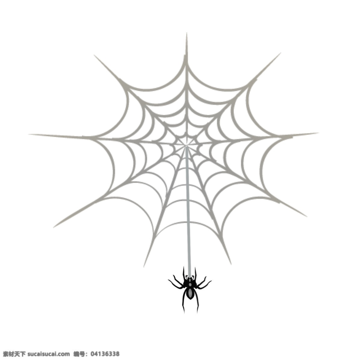 手绘 卡通 蜘蛛网 蜘蛛 简约 万圣节 装饰 元素 装饰元素