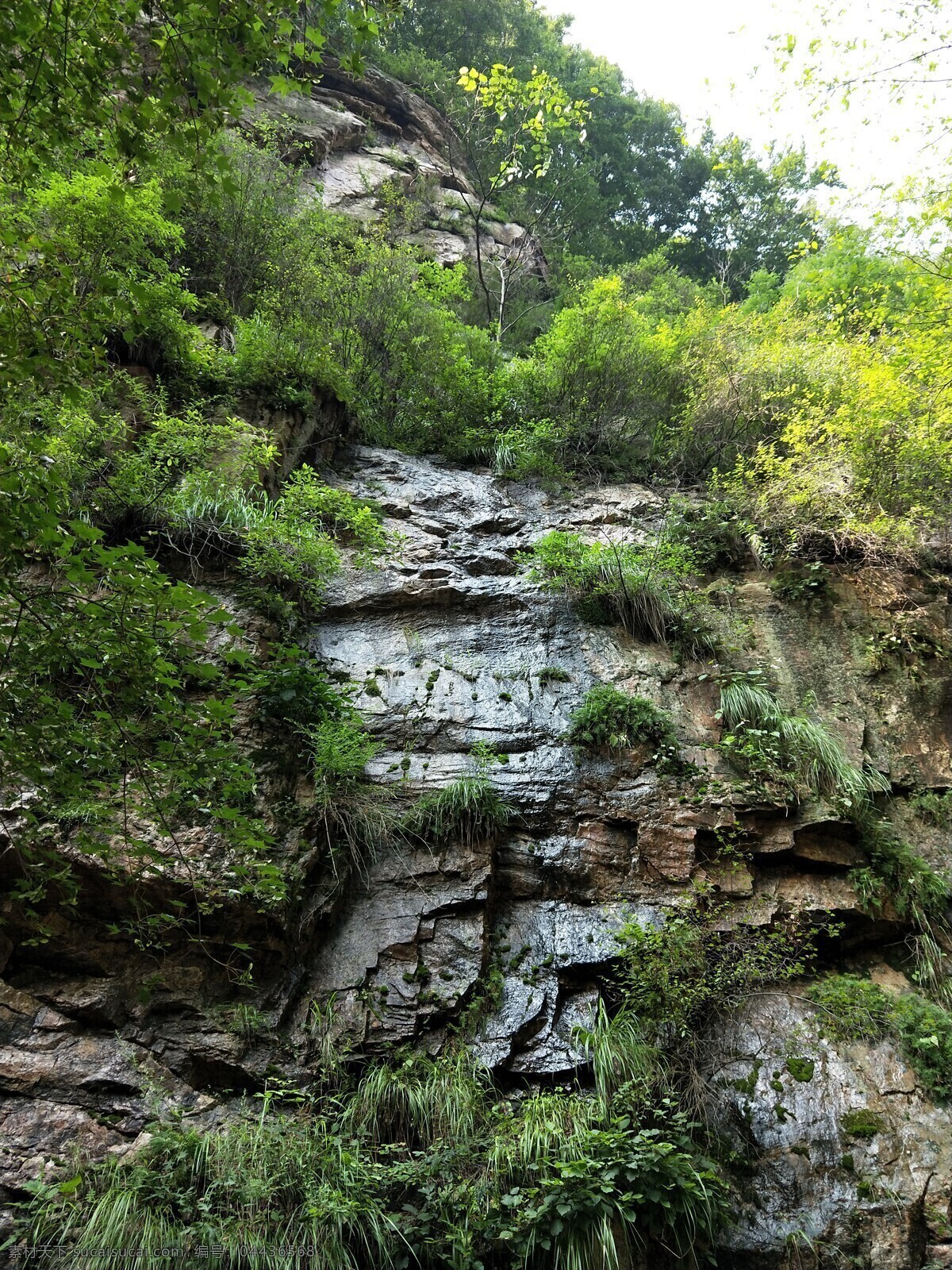 悬崖峭壁 石壁 草木丛生 翠绿 湿漉漉 陡峭 直上直下 高 自然景观 自然风景