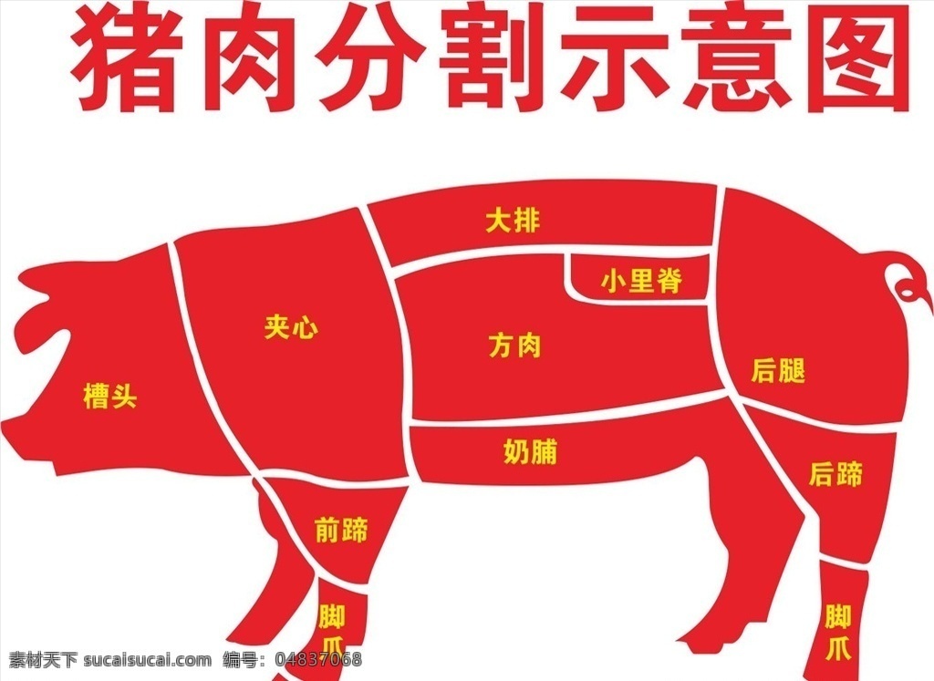猪肉 分割 示意图 猪肉分割 猪分割图 分割图 猪