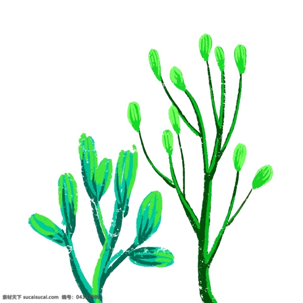两个 绿色植物 装饰 植物 花草植物 大自然 自然植物 油画植物 植物矢量 植物png 春天植物