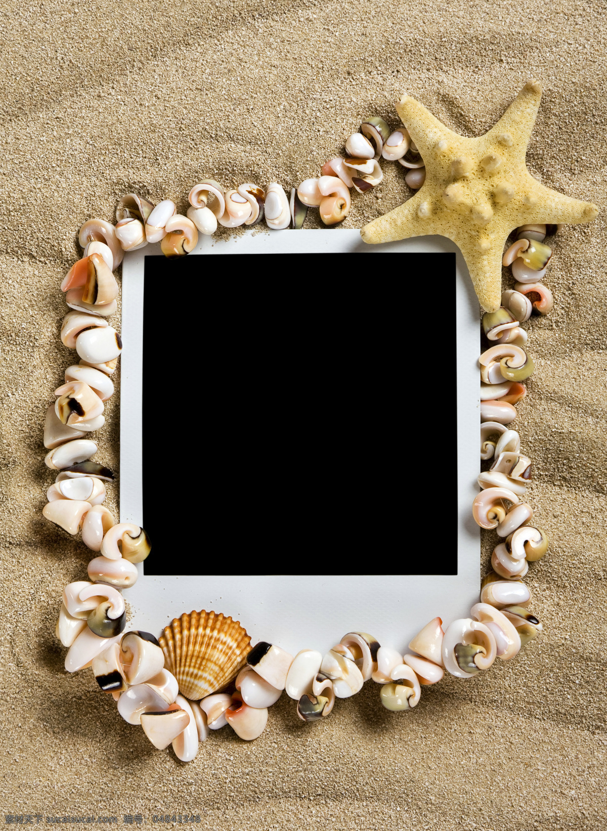 夏日 海滩 照片 模板 夏日海滩 夏天 沙滩 沙子 照片模板 贝壳 海星 高清图片 暑假 旅游 生物世界 大海图片 风景图片