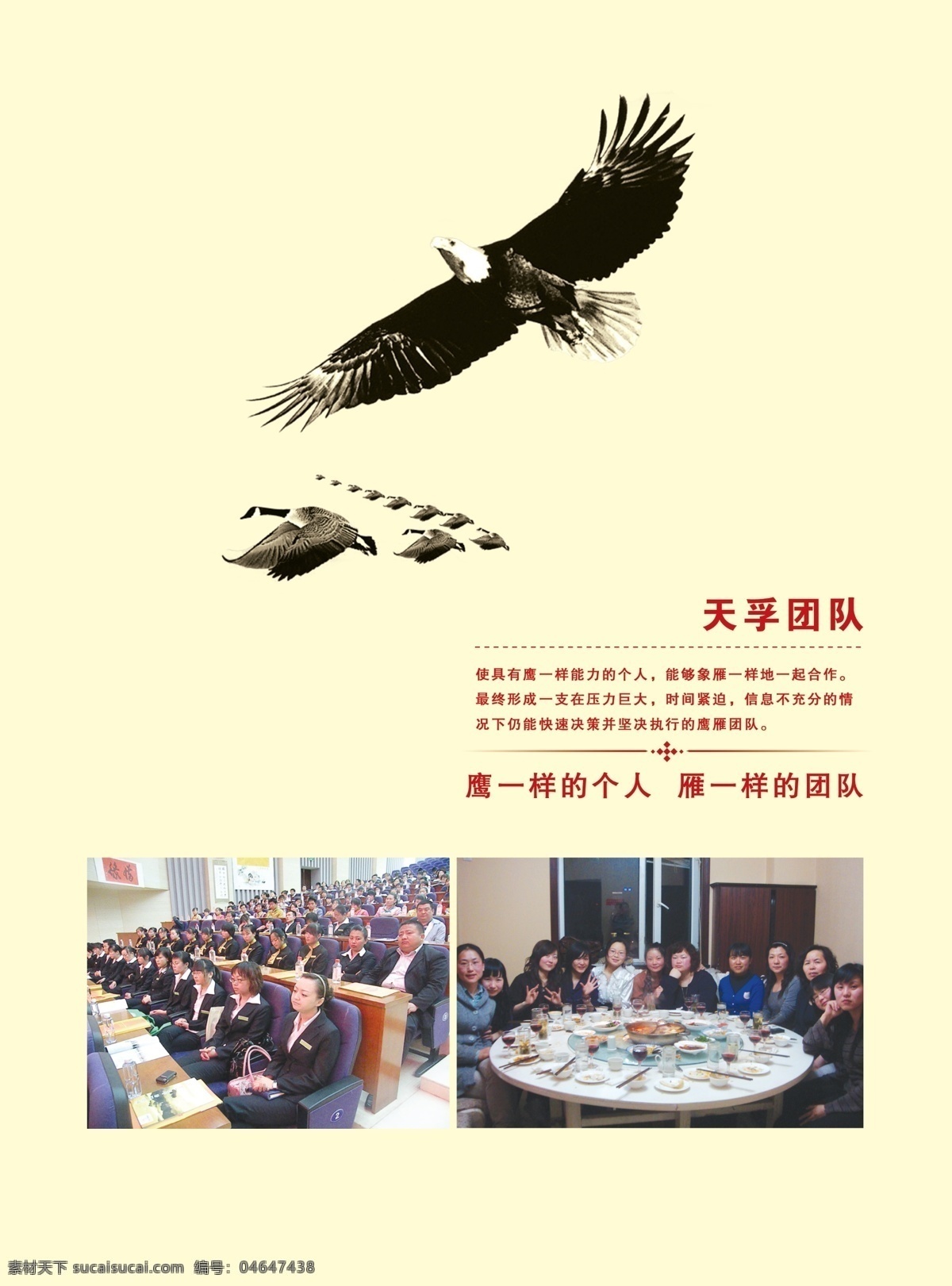 公司 画册 分层 传单 高档画册 公司画册 画册内页 团队 宣传页 膺雁 膺雁团队 源文件 其他画册封面