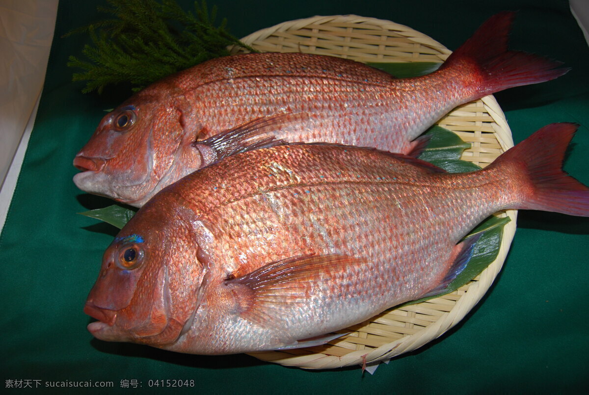 海鲜 海鱼 鱼 生鱼片 美食 美味 传统美食 餐饮美食 食物原料