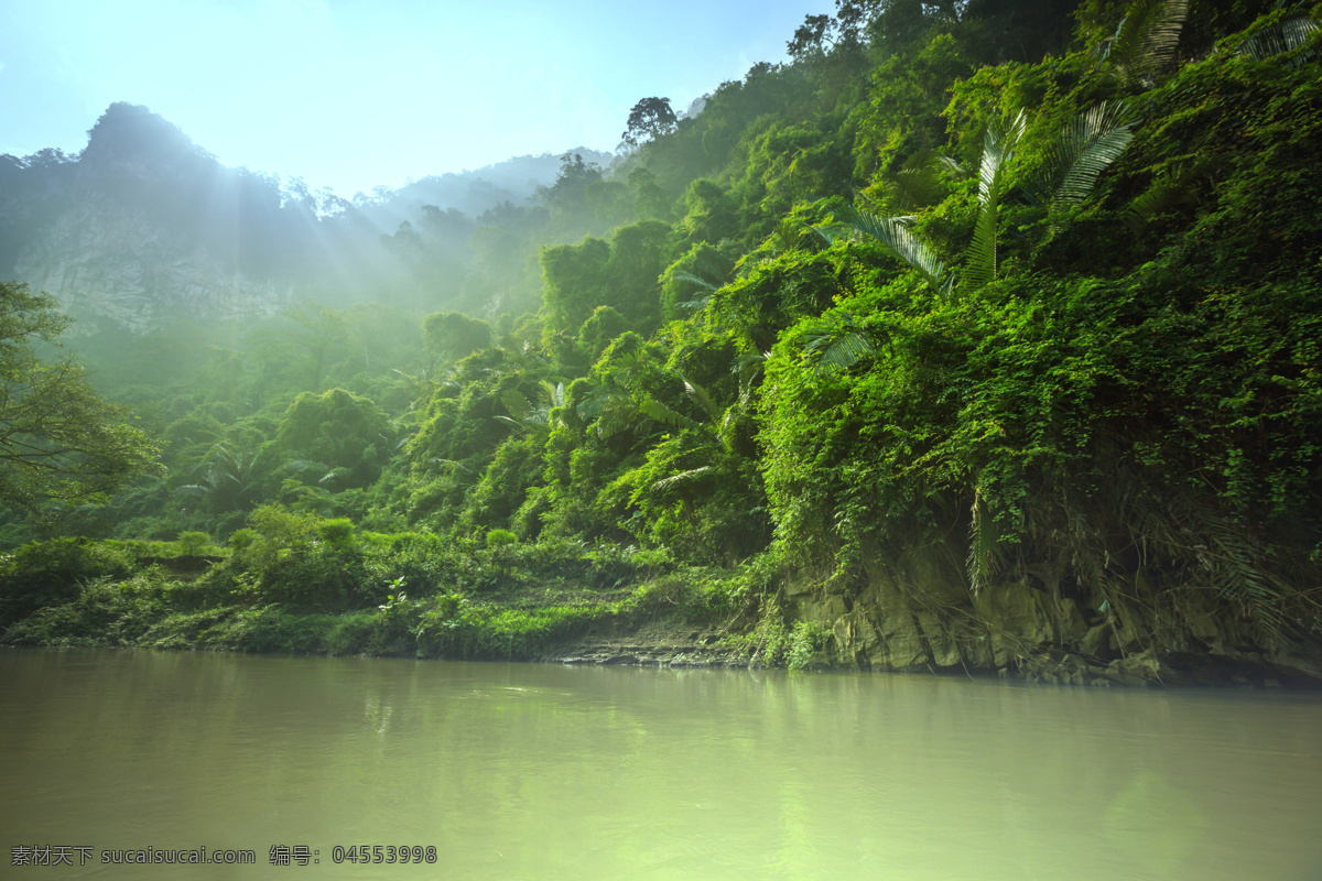 热带雨林 小河 风景 小河风景 河流风景 热带雨林风景 美丽风景 美丽景色 自然美景 风景摄影 自然风景 自然景观 黑色
