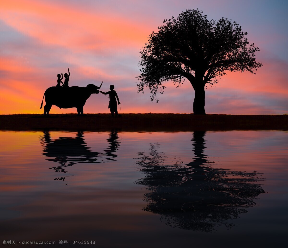 大象与人 泰国 东南亚 意境 大象 象夫 黄昏 夕阳 人与自然 人与象 旅游摄影 国外旅游