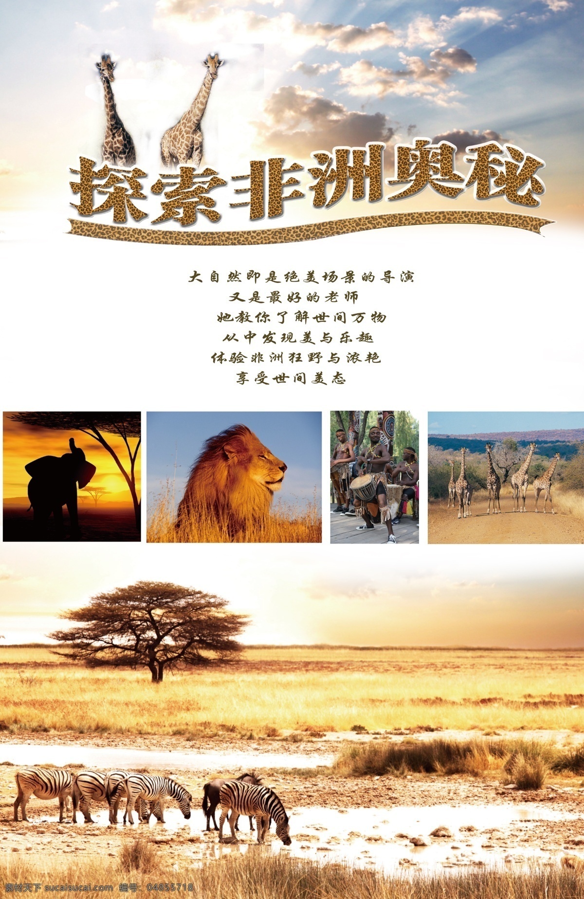 非洲旅游海报 大象 狮子 长颈鹿 森林 非洲海报 分层 源文件