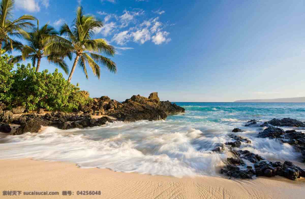 大海 海边 椰树 石头 浪花 蓝天 白云 礁石 沙滩碧海蓝天 树木 优美风景 旅游摄影 自然风景