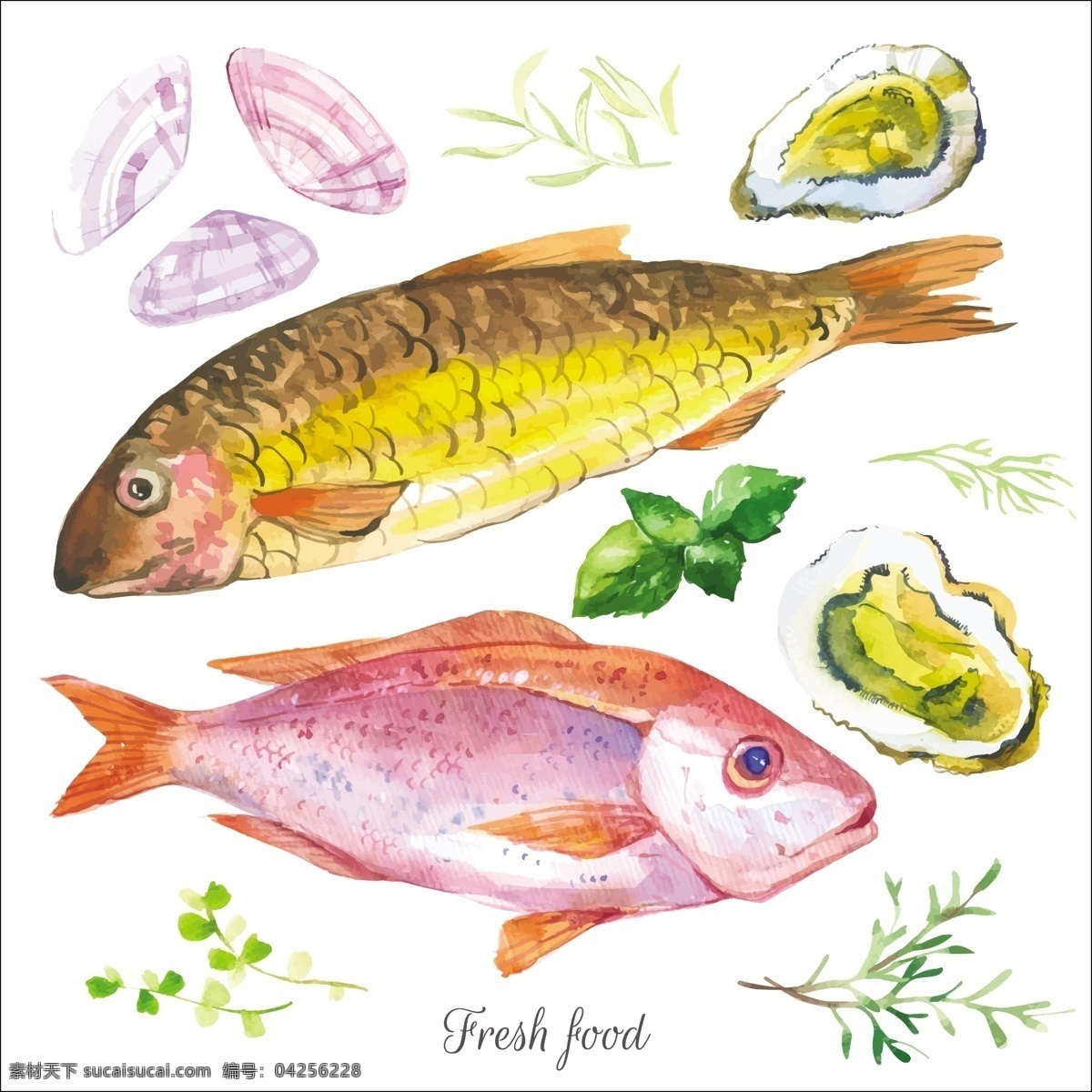 手绘 鱼 水彩 夏日 海洋 动物 元素 海鱼 贝壳 食物 装饰 印刷 高清 矢量