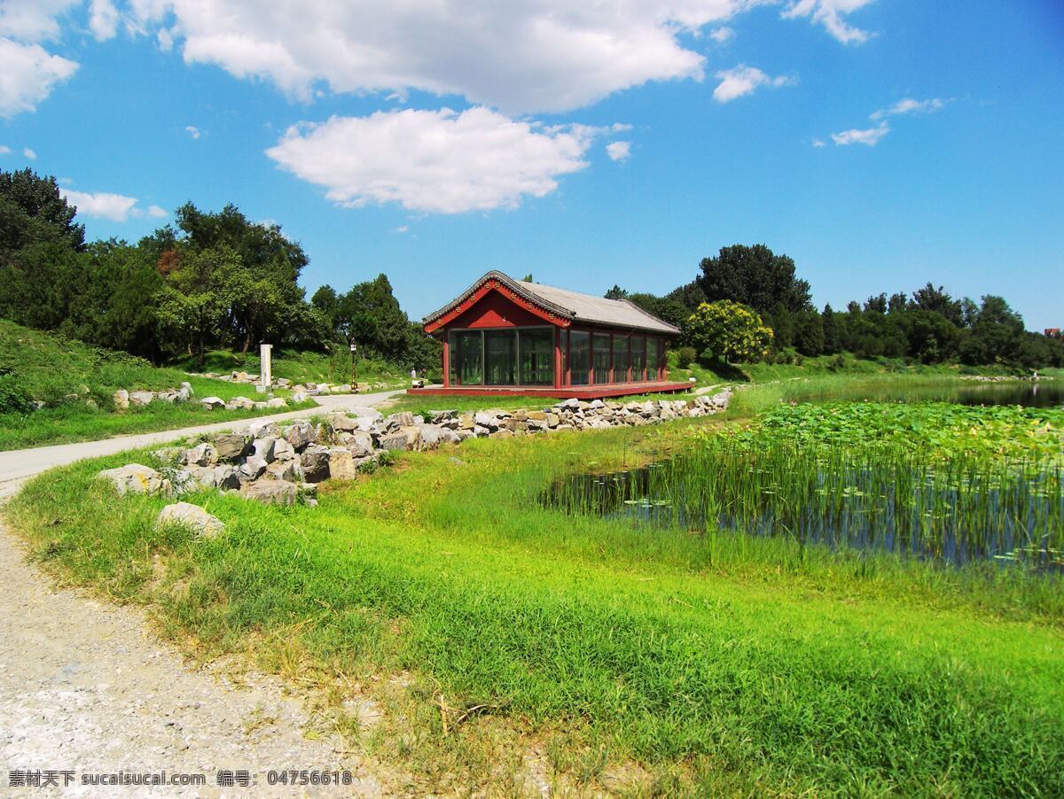 圆明园 小路 凉亭 绿草 荷花 湖 绿树 圆明园风景 建筑园林 园林建筑