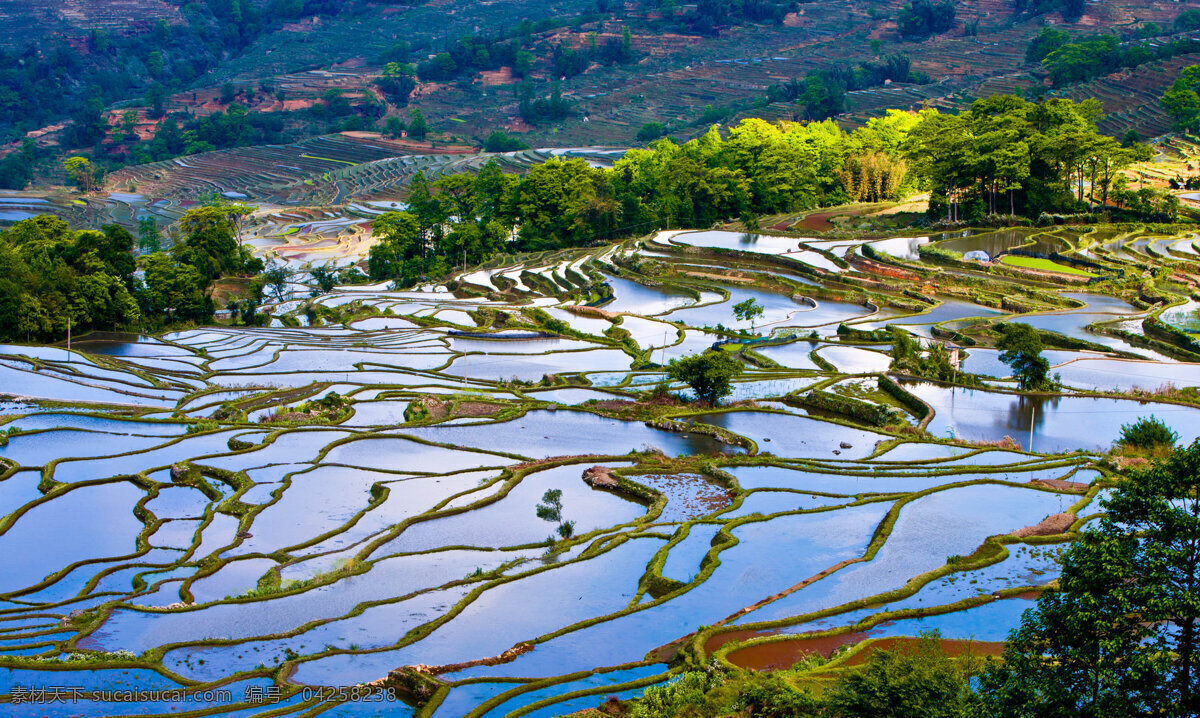 云南 元阳 梯田 风景