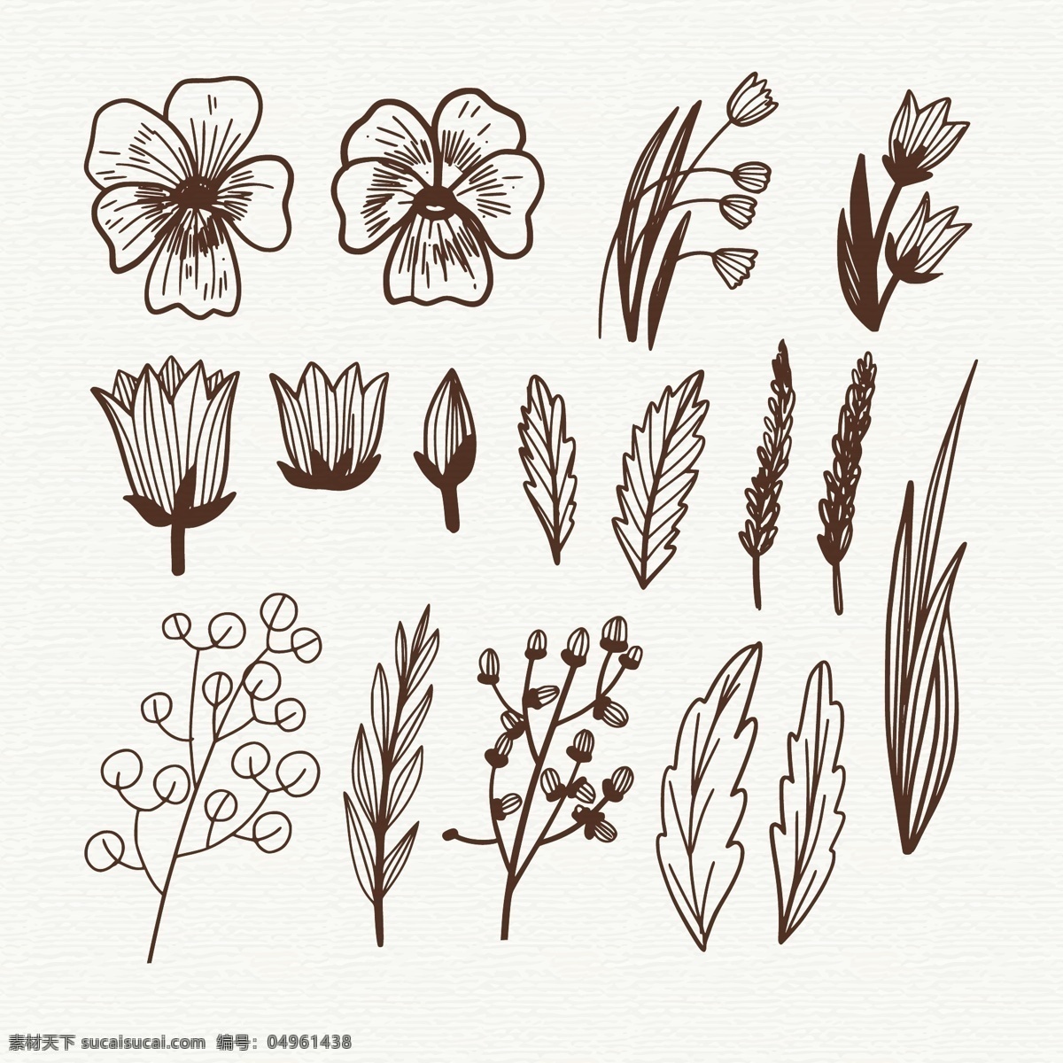 手绘 素描 风格 花卉 元素 线描 线条 植物 花朵 叶