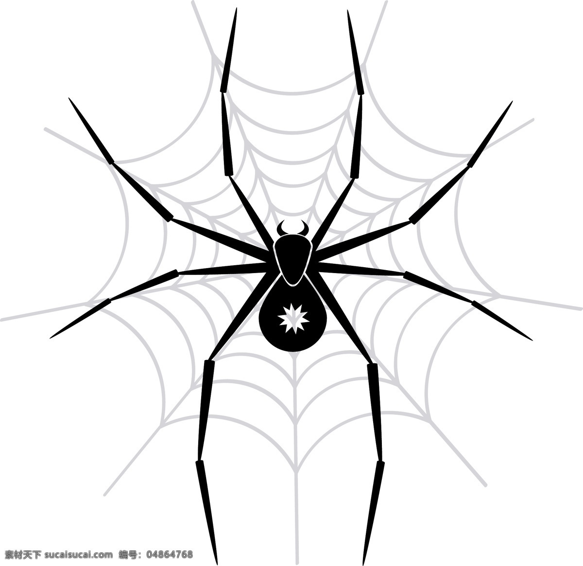 蜘蛛 网上 蜘蛛网 黑白 白色