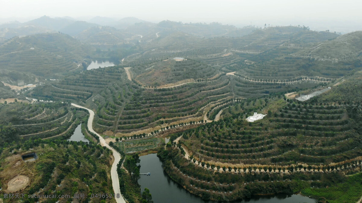 橘红种植航拍 化州橘红 农业基地 化橘红 农业全景 高空航拍 自然景观 田园风光