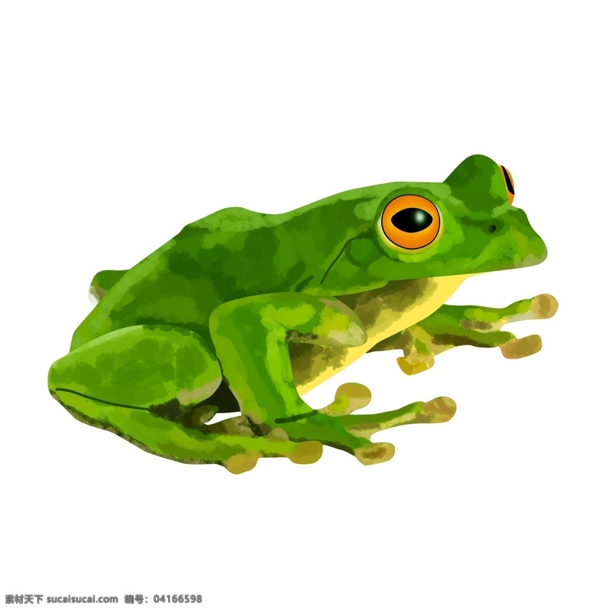 绿色的青蛙 青蛙 玩具 绿色