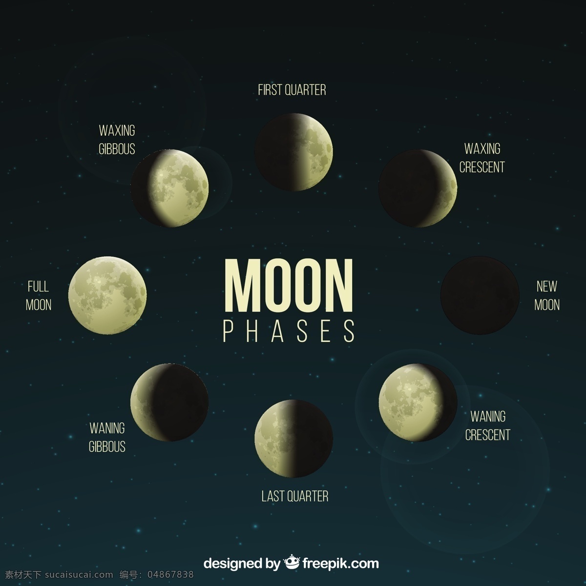 月球 现实 阶段 日历 天空 月亮 数字 时间 夜晚 时间表 计划者 夜空 宇宙 年 季节 占星术 月 满月 周计划者 月相 新月 每日