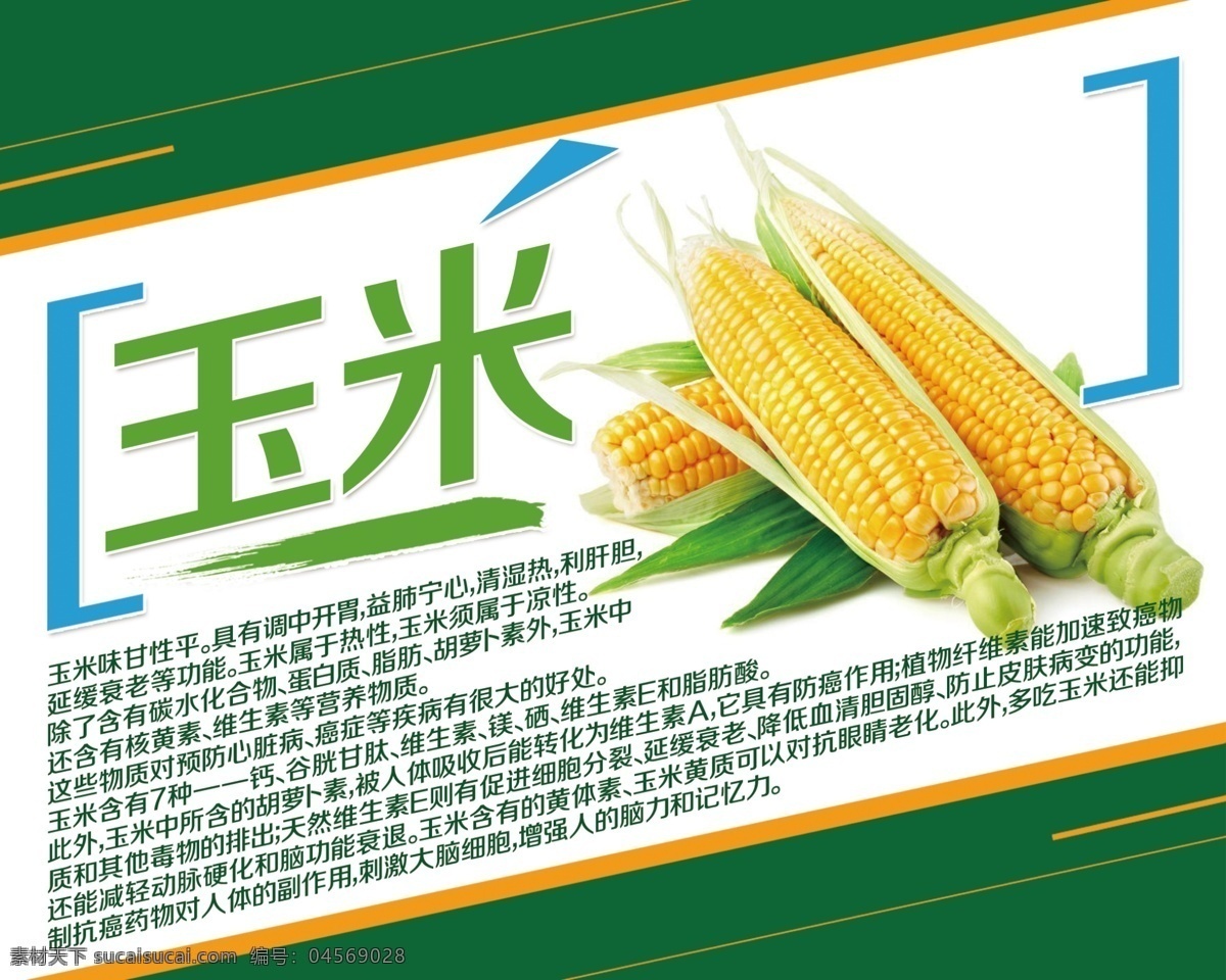 玉米简介 蔬菜简介 水果简介 海报 广告