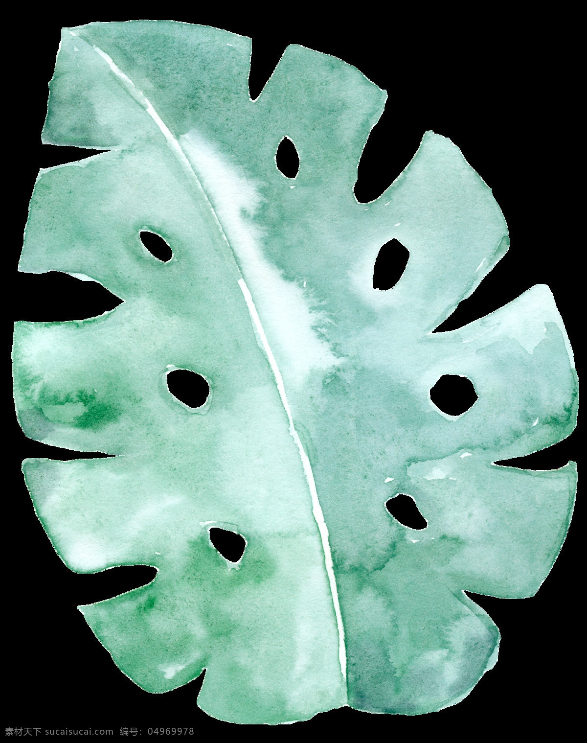 手绘 片 树叶 透明 蕨类 绿叶 免扣素材 水彩 透明素材 植物 装饰图片