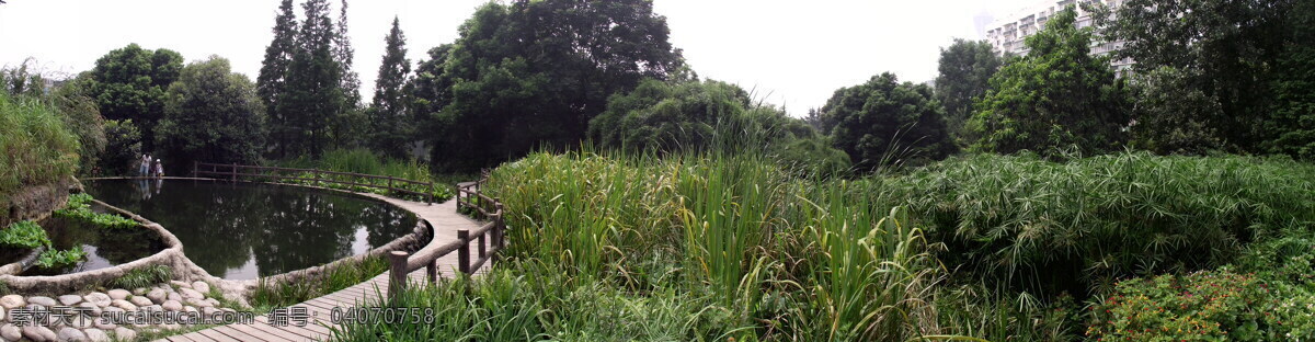 成都 活水 公园 景观 宽 屏 六 水池 木板桥 树林 植被 水塘 水草 成都活水公园 园林建筑 建筑园林