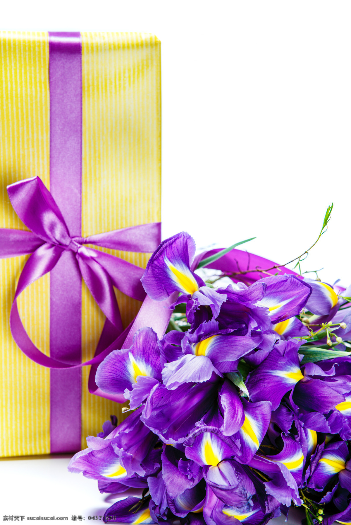 美丽 鲜花 礼包 紫色鲜花 礼物 丝带 美丽鲜花 花卉 花朵 花草树木 生物世界