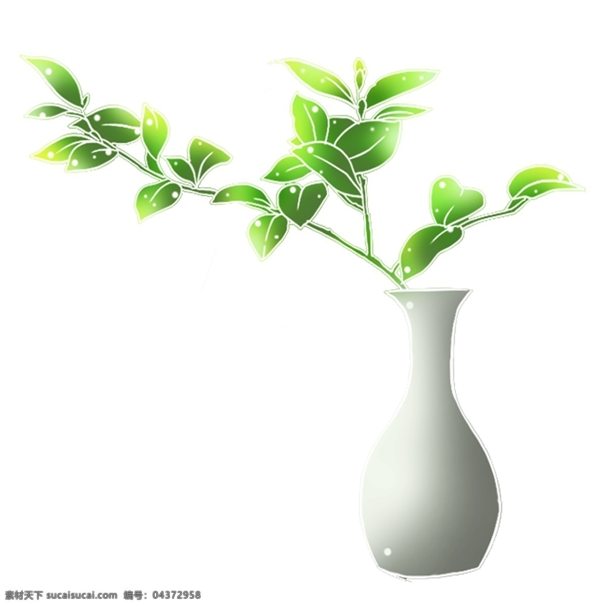 瓶 花 植物 免 扣 瓶子 花瓶 白色花瓶 叶子 自然 绿植 瓶花 清新 绿色 绿 健康 美丽 优雅 美观 环境
