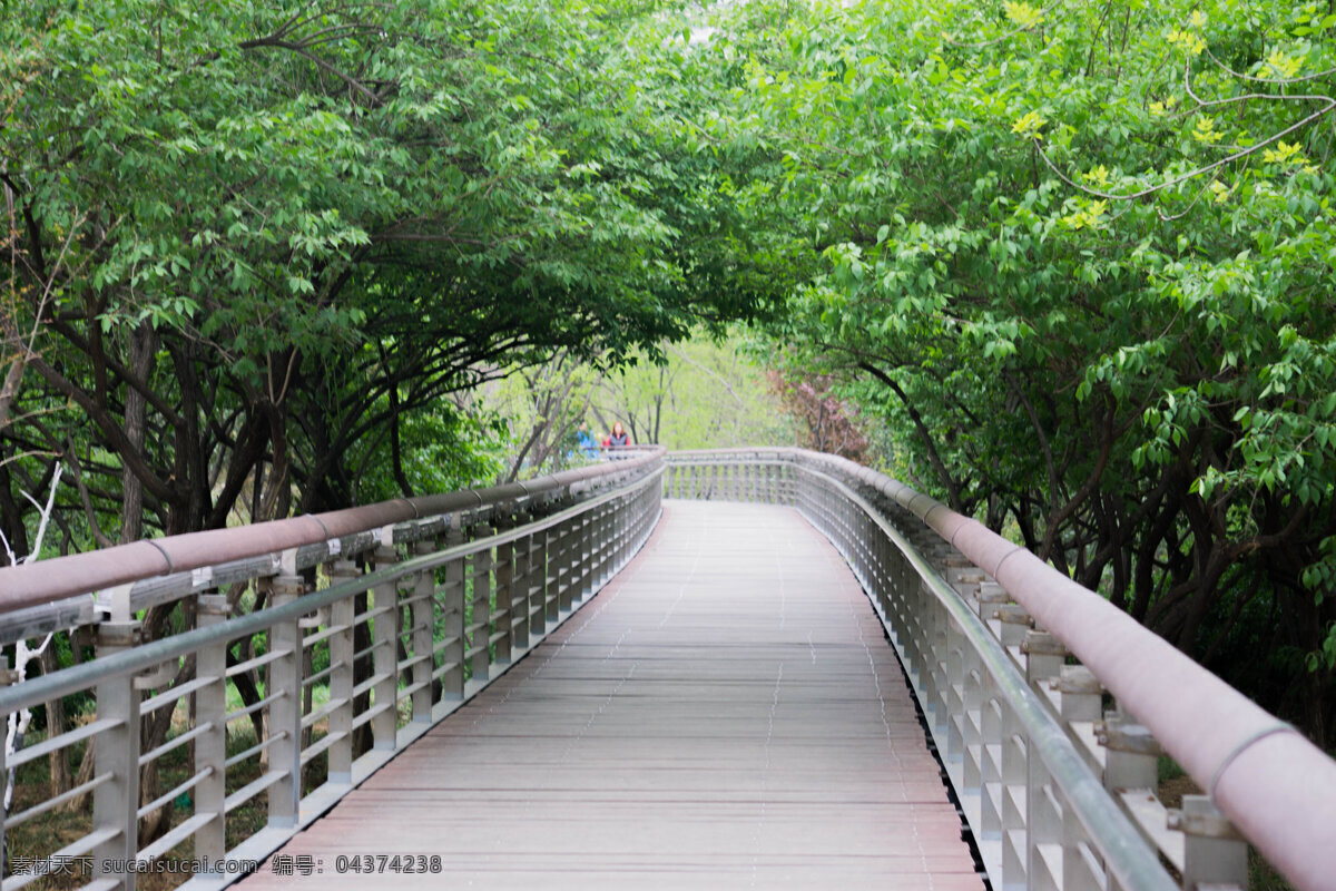 春天的路 春天 木桥 悠远 绿色 远方 神秘 曲径通幽 幽静 泉城公园 自然景观 自然风景