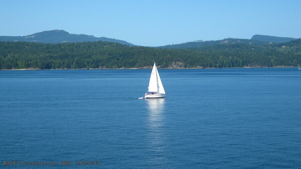 加拿大 维多利亚海湾 帆船 维多利亚 海湾 交通工具 船 航行 海面 蓝天 白帆 风景 旅游 旅游摄影 国内旅游