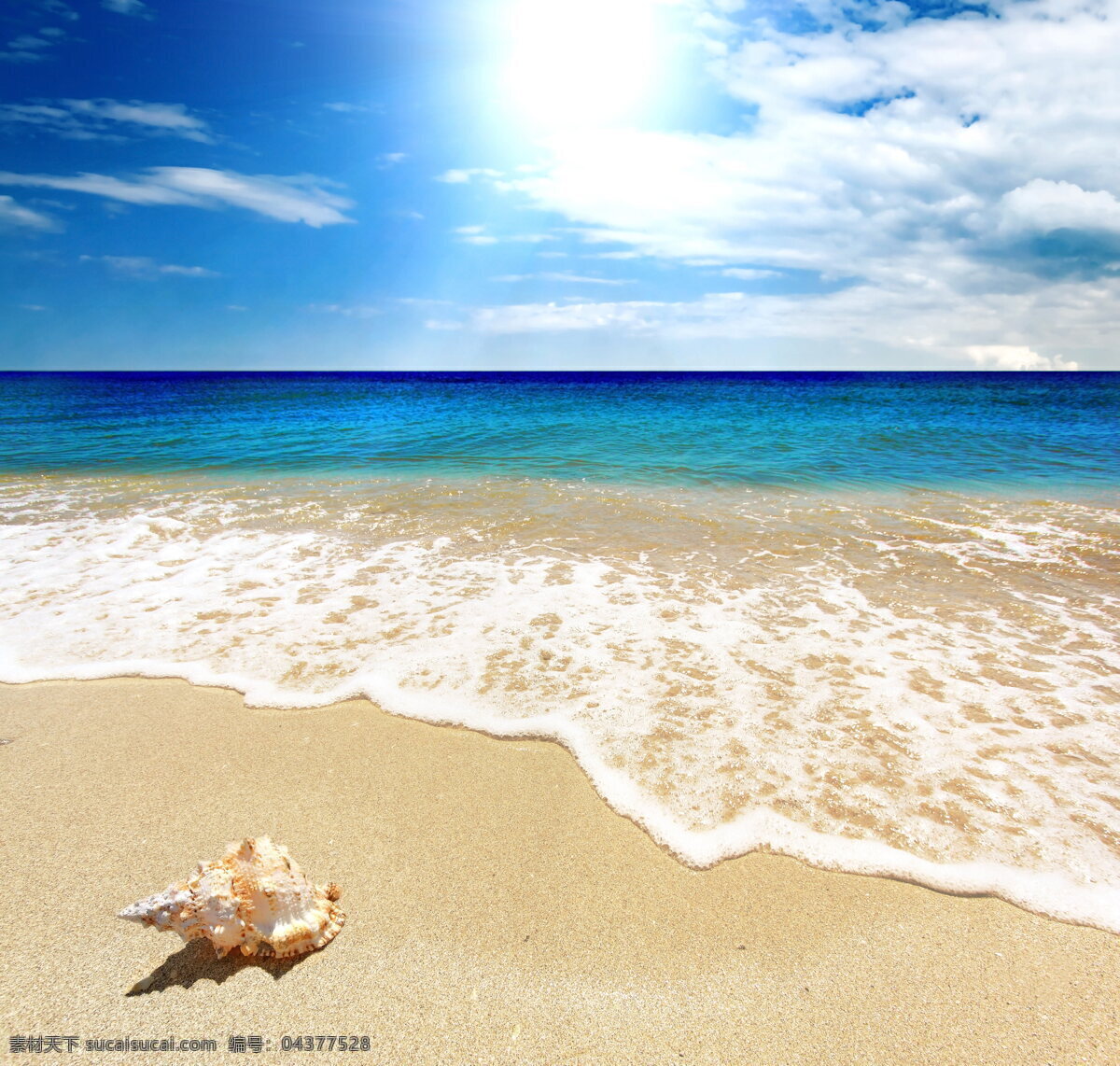 美丽海边风景 美丽风景 海边风景 大海 海边 海滩 沙滩 海浪 浪花 海螺 海水 海景 蓝天 白云 天空 海边风光 自然风光 风景图 自然景观 自然风景