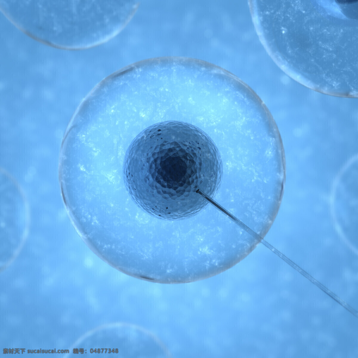 显微镜 下 细胞 放大 细胞核 细胞膜 实验 蓝色液体 医疗 细胞图片 现代科技