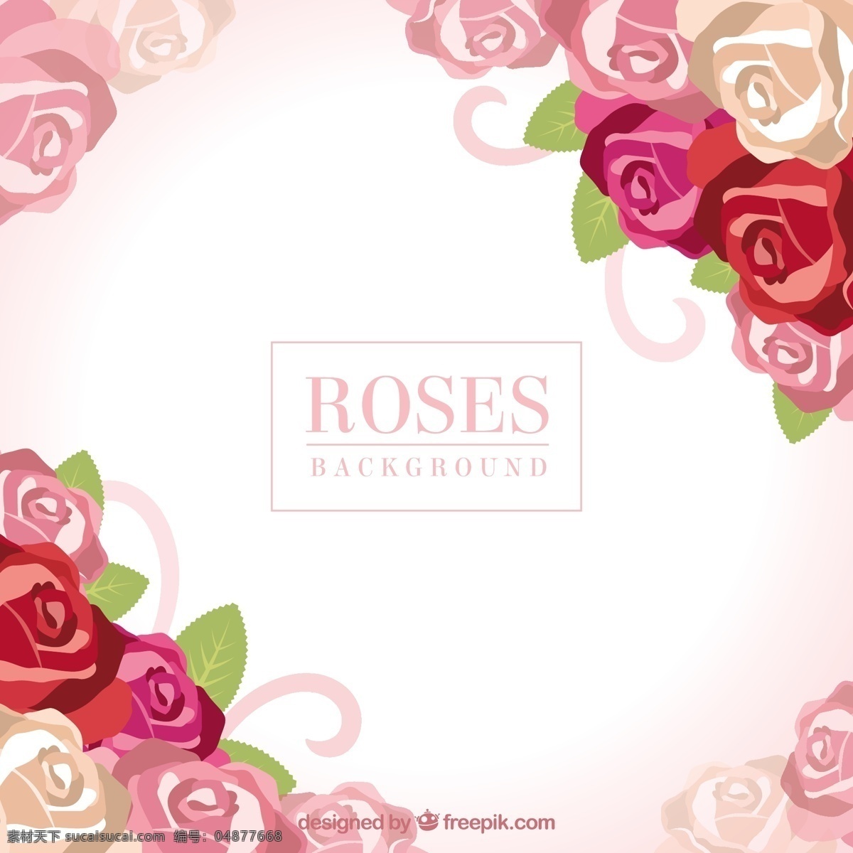可爱 背景 色 玫瑰 花卉 自然 花卉背景 春天 颜色 平板 植物 丰富多彩 平面设计 自然背景 装饰