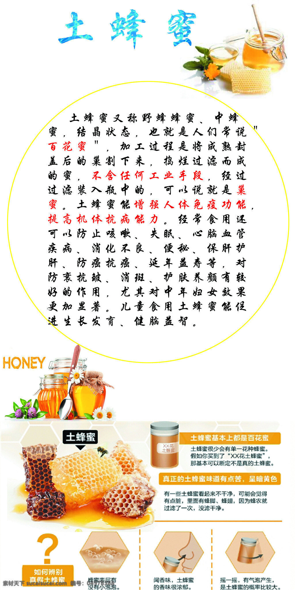 土蜂蜜宣传页 宣传 海报 土蜂蜜 简介 吃蜂蜜的好处 白色