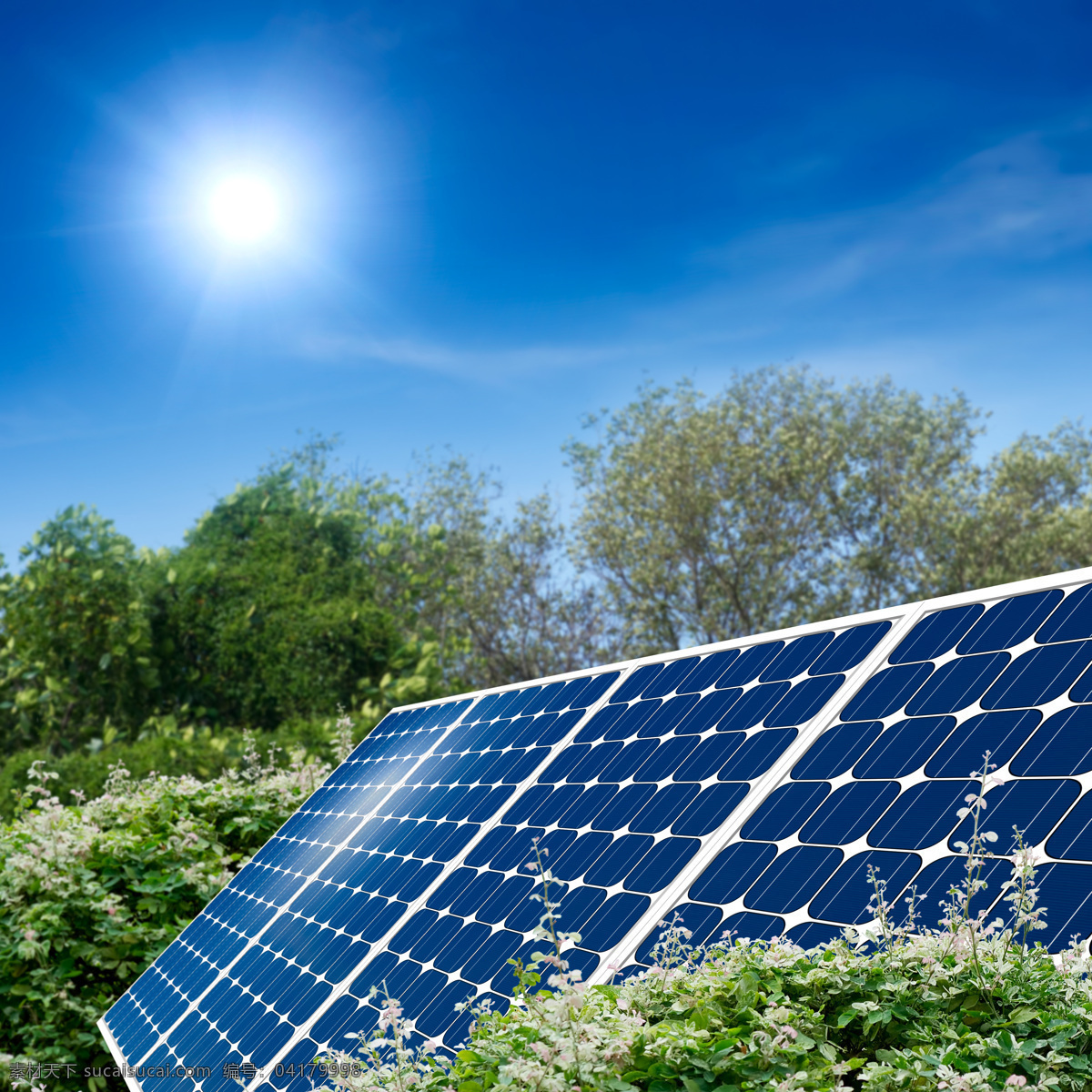 蓝天 下 太阳能 板 树木 太阳能板 能源 绿色 环保 创意 其他类别 环境家居