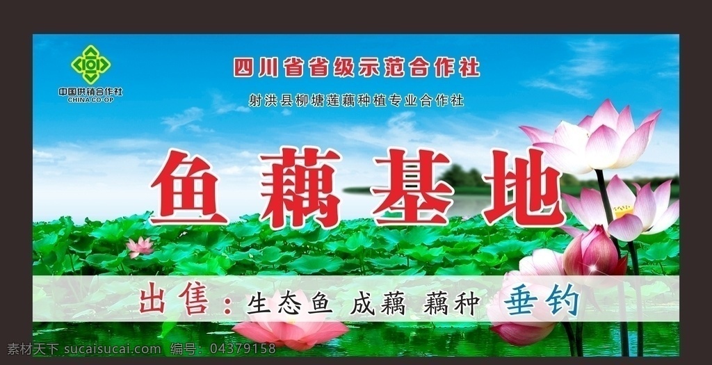 荷塘 鱼藕基地 莲藕种植 垂钓 农家乐 海报 展架 宣传