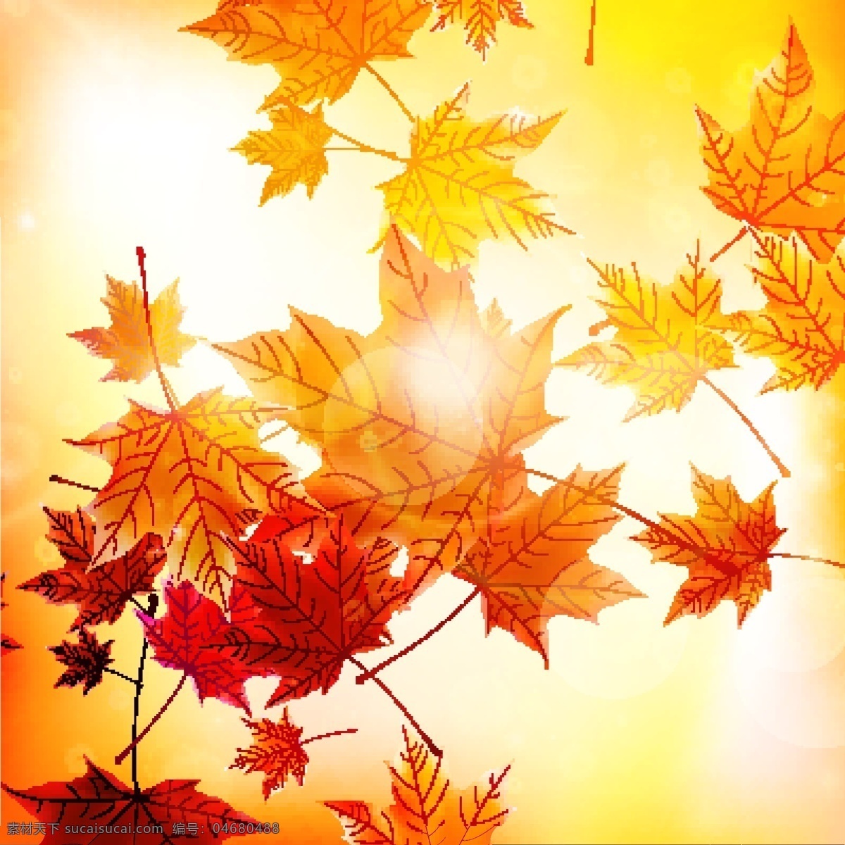 灿烂 阳光 秋叶 背景 枫叶背景 光晕 秋 秋季 矢量图 树叶