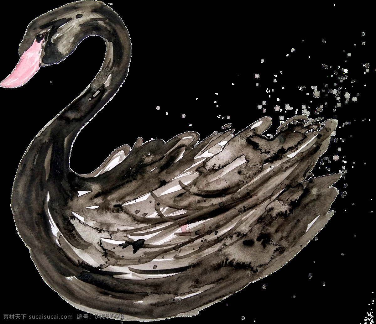 绘画 天鹅 透明 黑色 手绘 水彩 卡通 抠图专用 装饰 设计素材