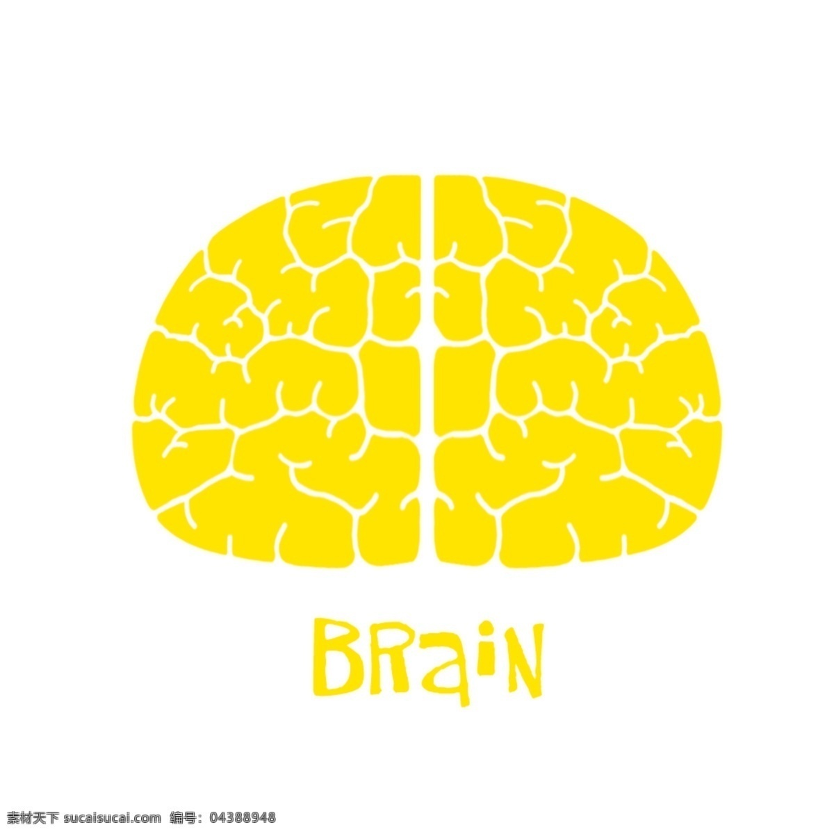 brain 大脑 大脑正视图 卡通 平面 白色
