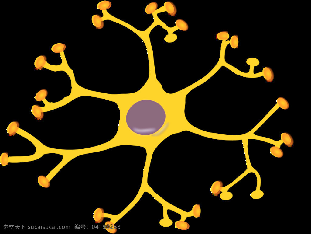 神经元 中间 插画集