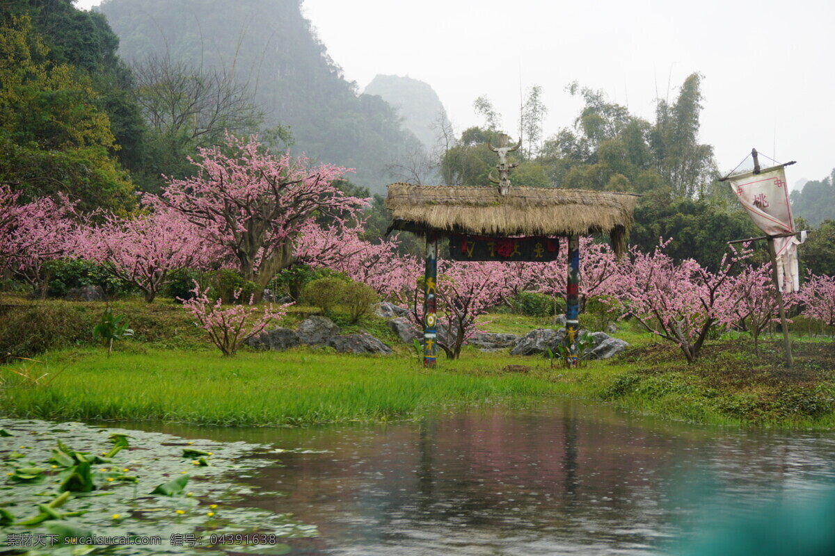 桃花源 山水 花 桃花 漓江 旅游摄影 自然风景