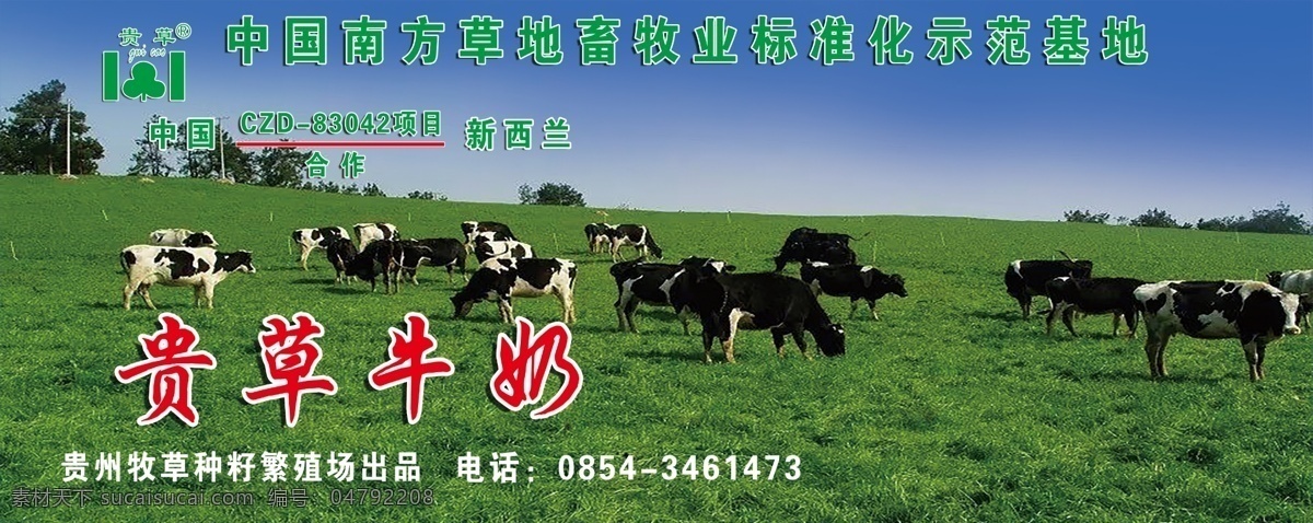 中国 南方 草地 示范基地 贵 草 牛奶 贵州牧草 种籽繁殖场 贵州 草种场 基地