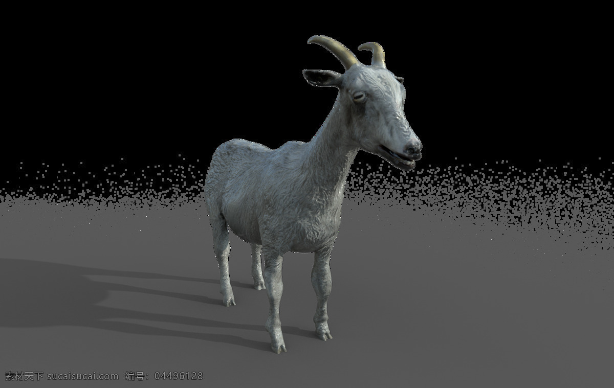 写实 动物 羊 模型 透明 底 图 max 透明底图