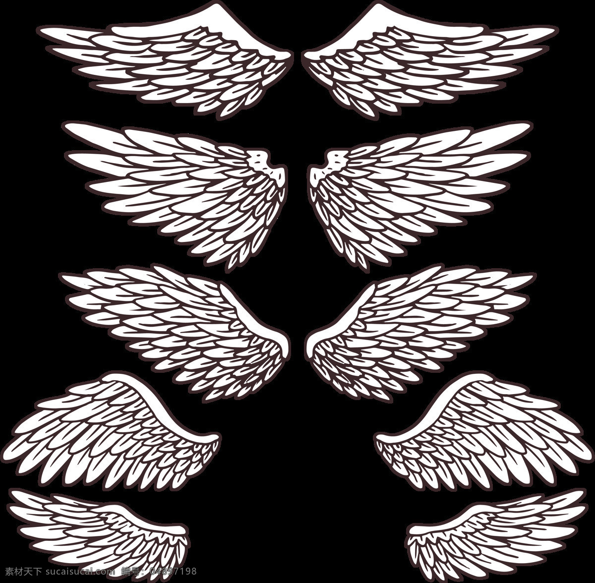 写实 风格 鸟类 翅膀 免 抠 透明 图 层 手绘翅膀 翅膀元素 小 天使 卡通翅膀 翅膀图片素材 纹身图案 翅膀素材 手绘翅膀图片
