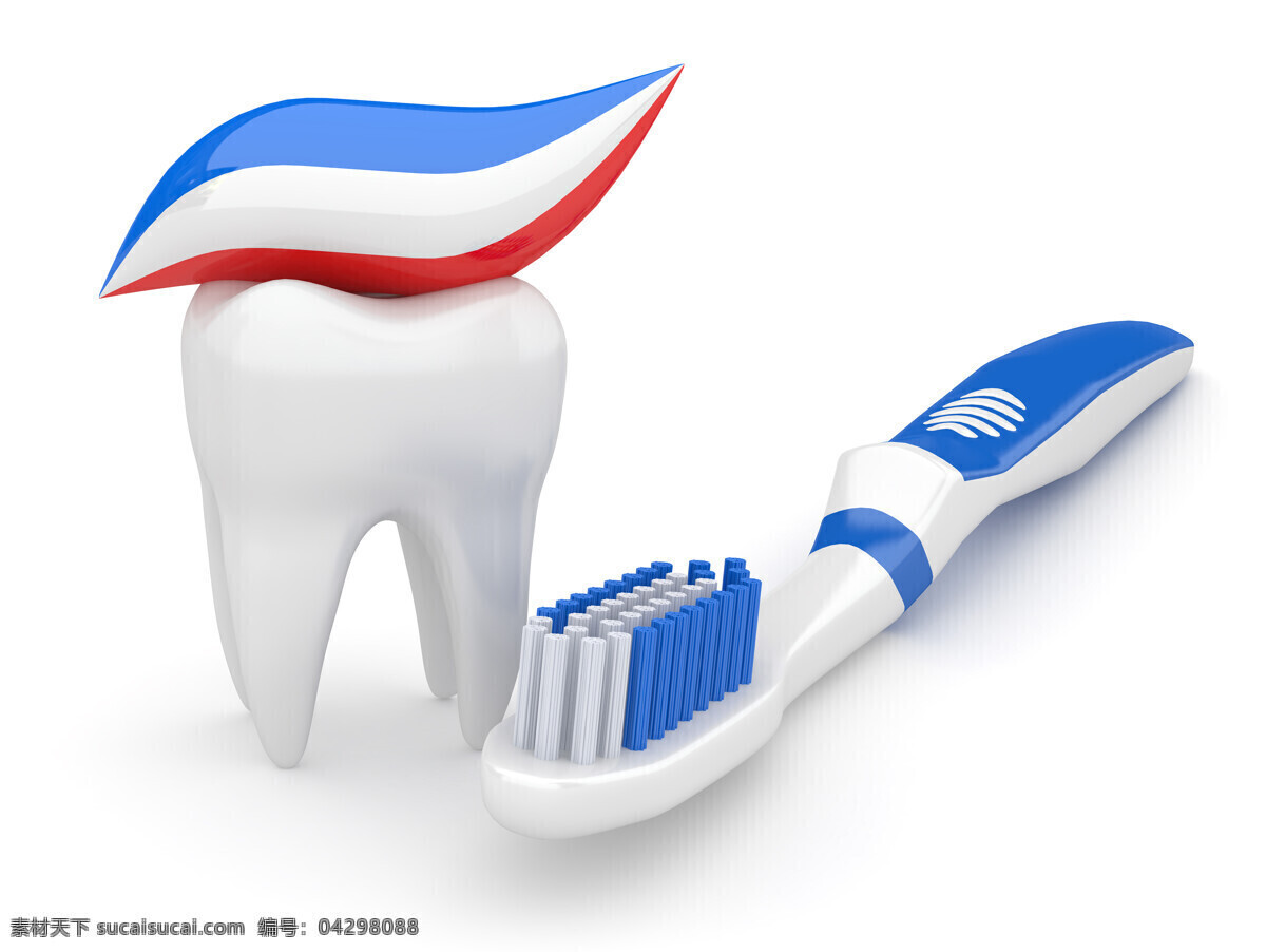牙齿 模型 牙刷 牙膏 牙齿模型 牙科 牙齿保健 医疗卫生 人体器官 生活用品 生活百科